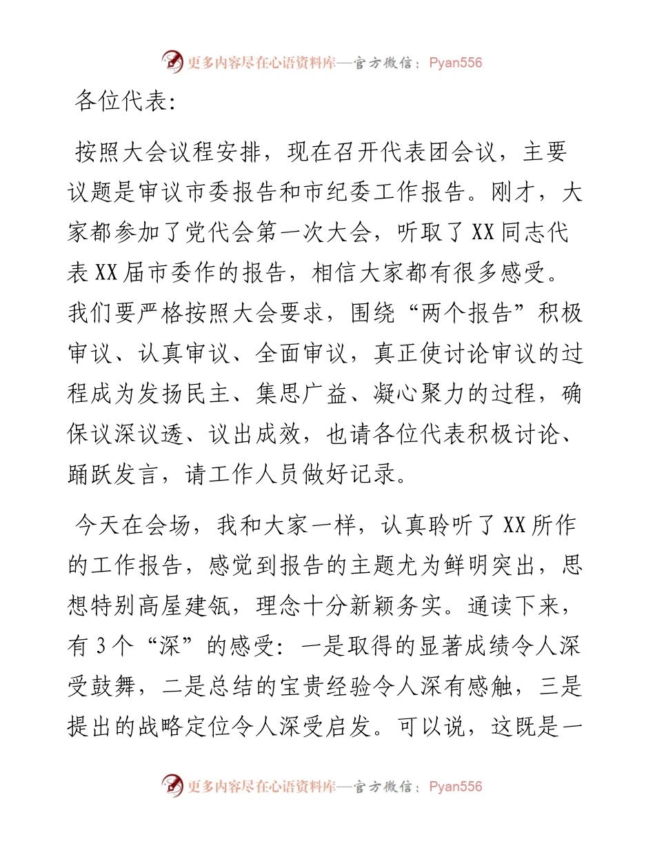 第X代表团团长在审议市党代会报告时的发言提纲.docx_第1页