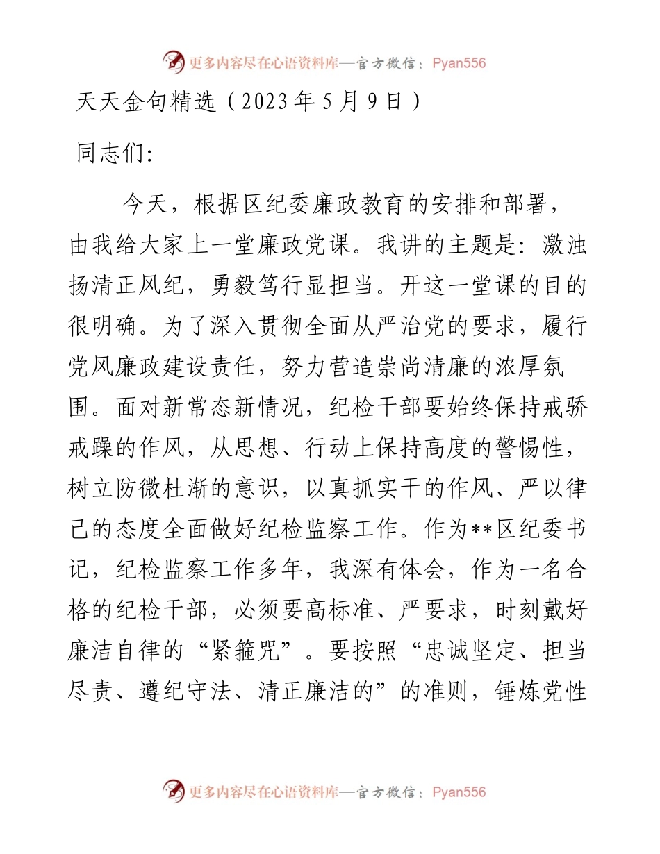 某区纪委书记廉政党课发言材料：激浊扬清正风纪　勇毅笃行显担当(1).docx_第1页