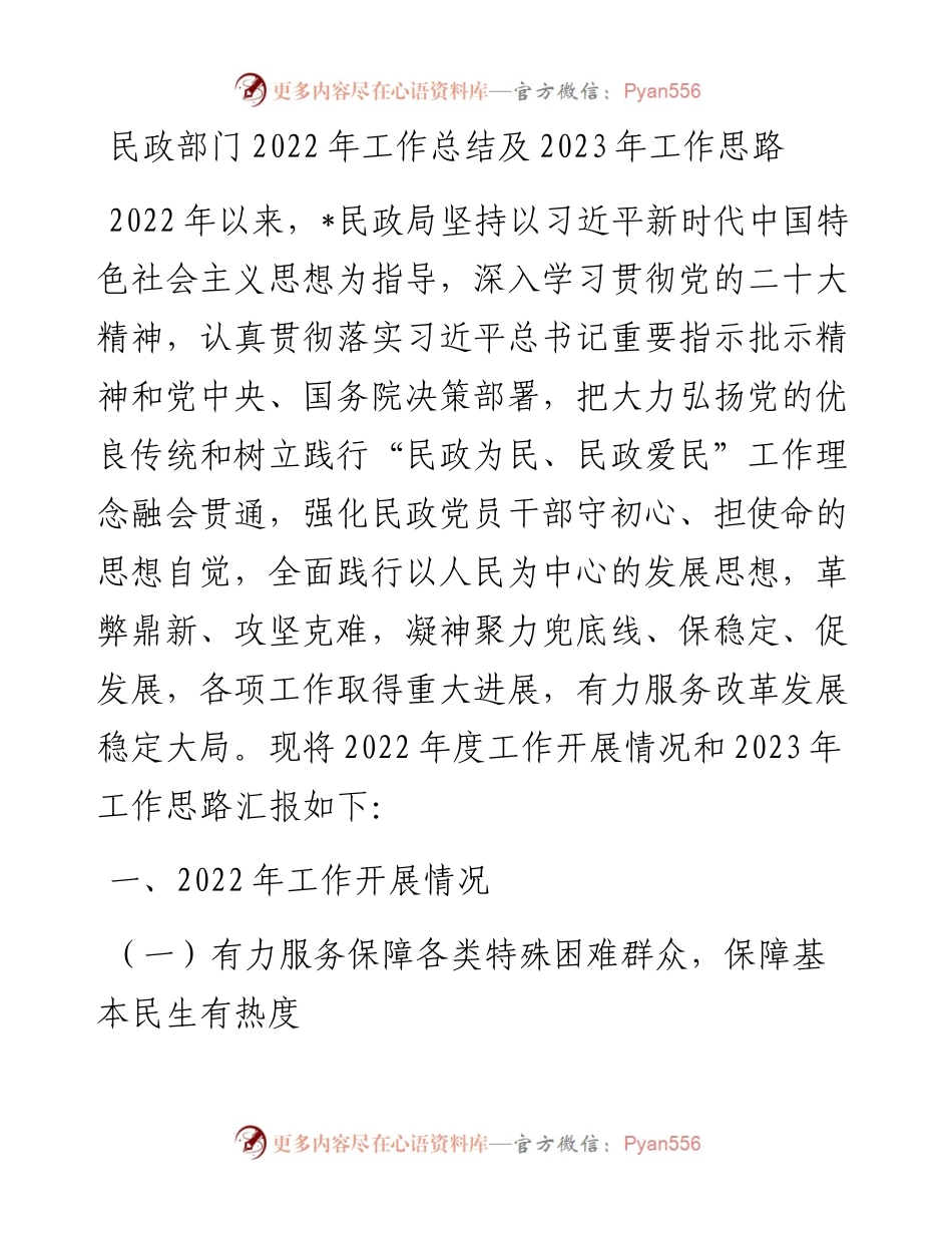 民政部门工作总结及2023年工作思路.docx_第1页