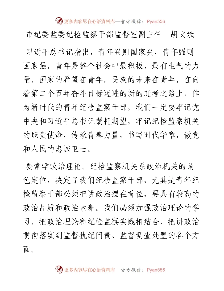 文汇系列4048--怀化市纪委监委优秀青年干部座谈会发言汇编.docx_第2页