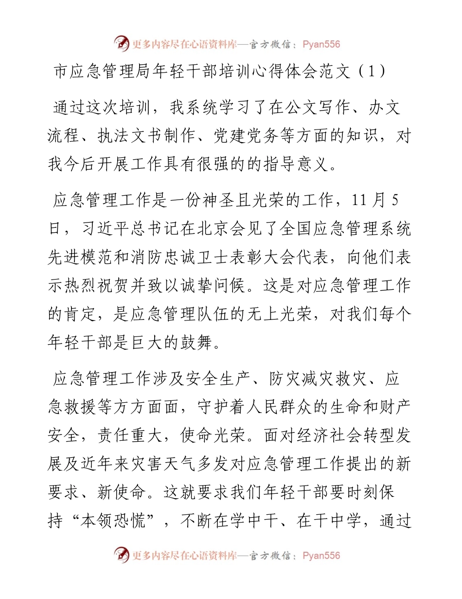 文汇系列4142--市应急管理局年轻干部培训心得体会汇编.docx_第1页