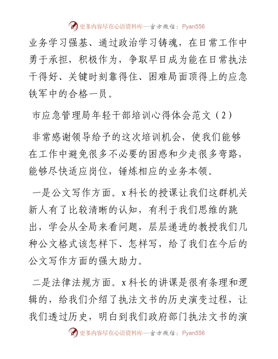 文汇系列4142--市应急管理局年轻干部培训心得体会汇编.docx_第2页