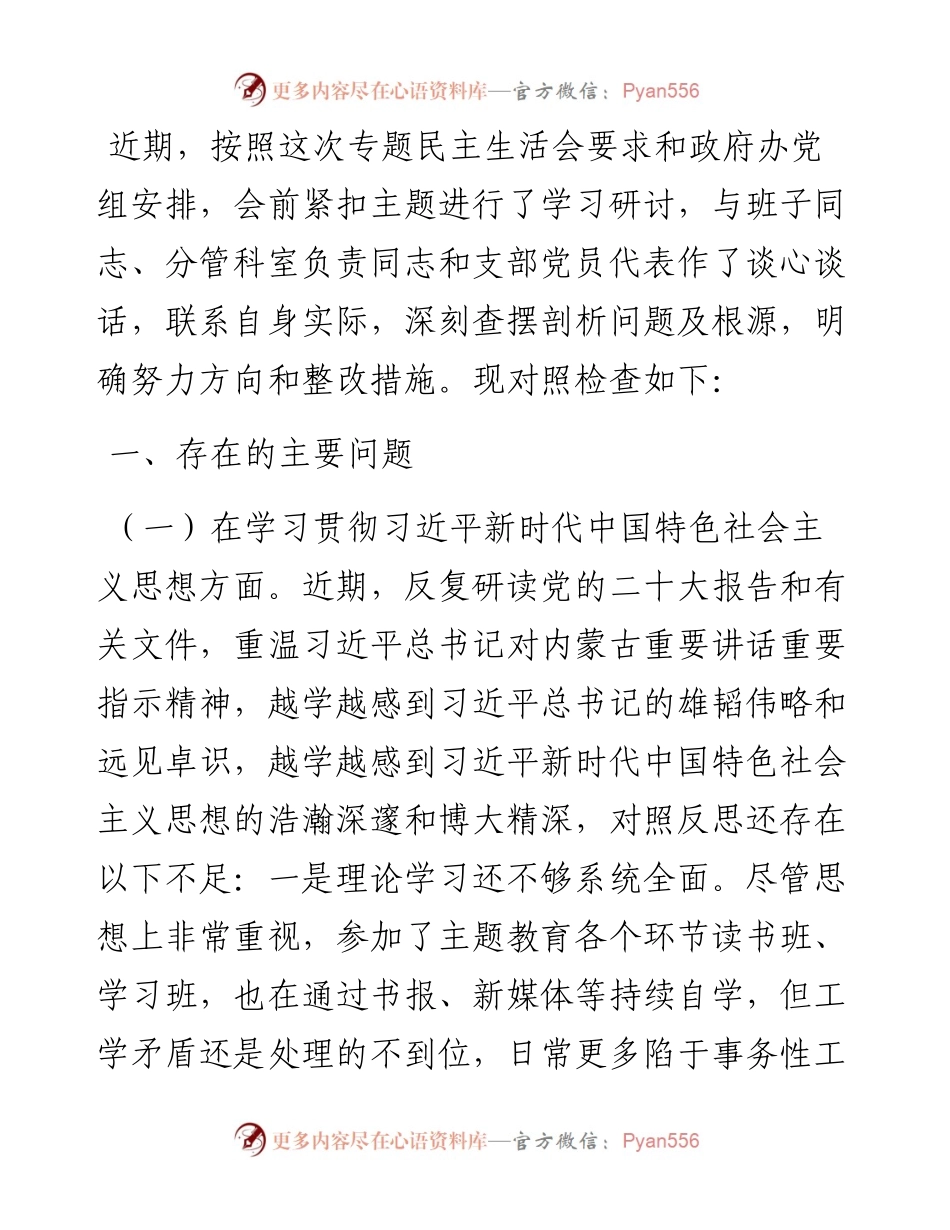 某市政府办副秘书长、副主任2023年度民主生活会对照检查材料.docx_第1页