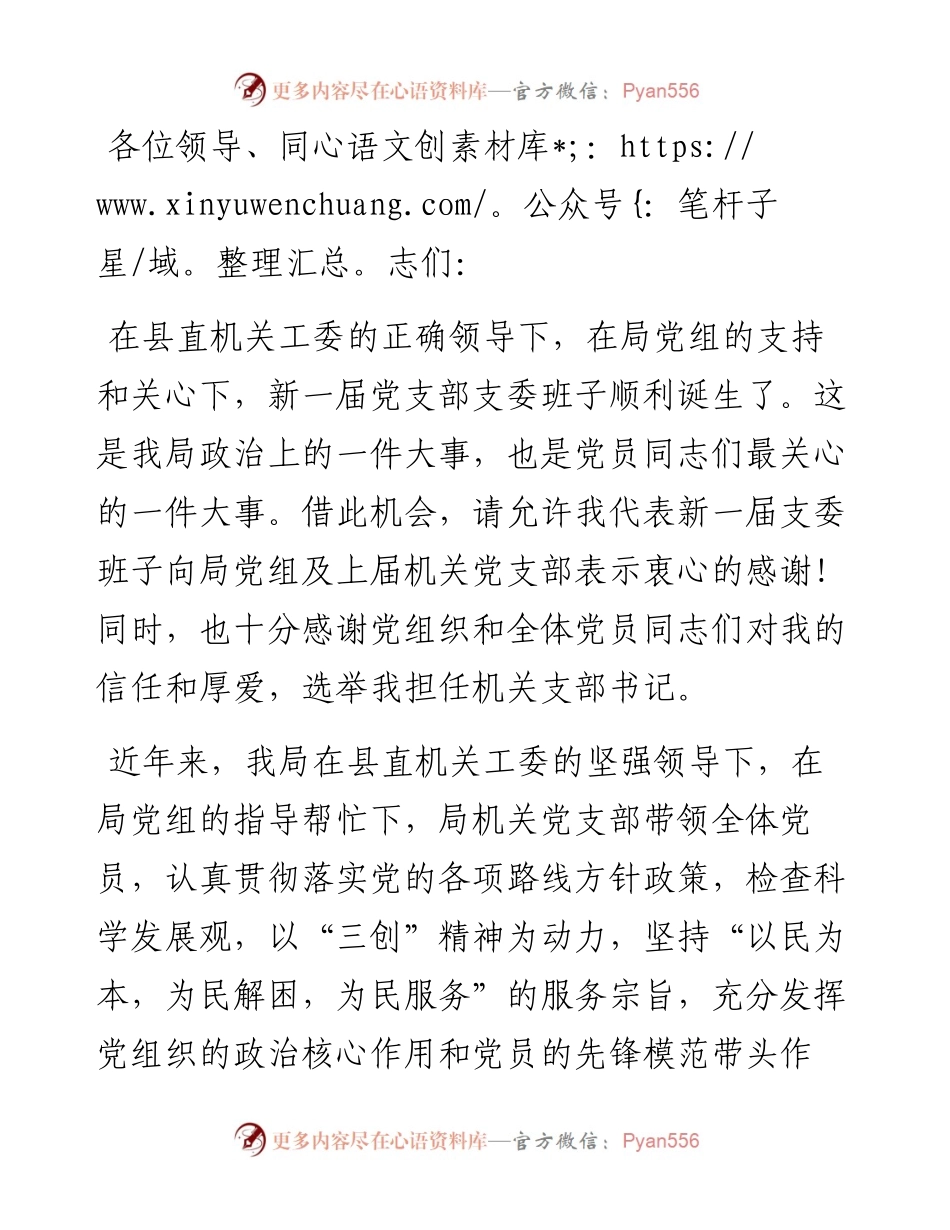 新当选局党支部书记任职表态发言.docx_第1页