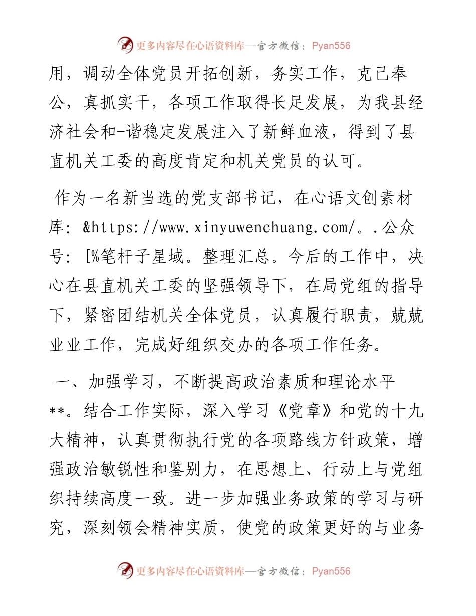 新当选局党支部书记任职表态发言.docx_第2页