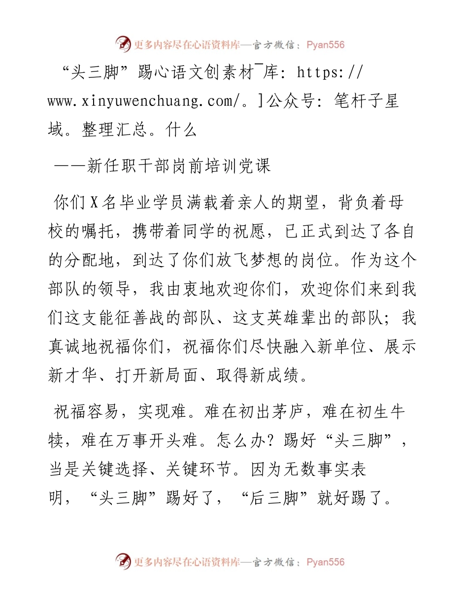 新任职干部岗前培训党课头三脚踢什么.docx_第1页