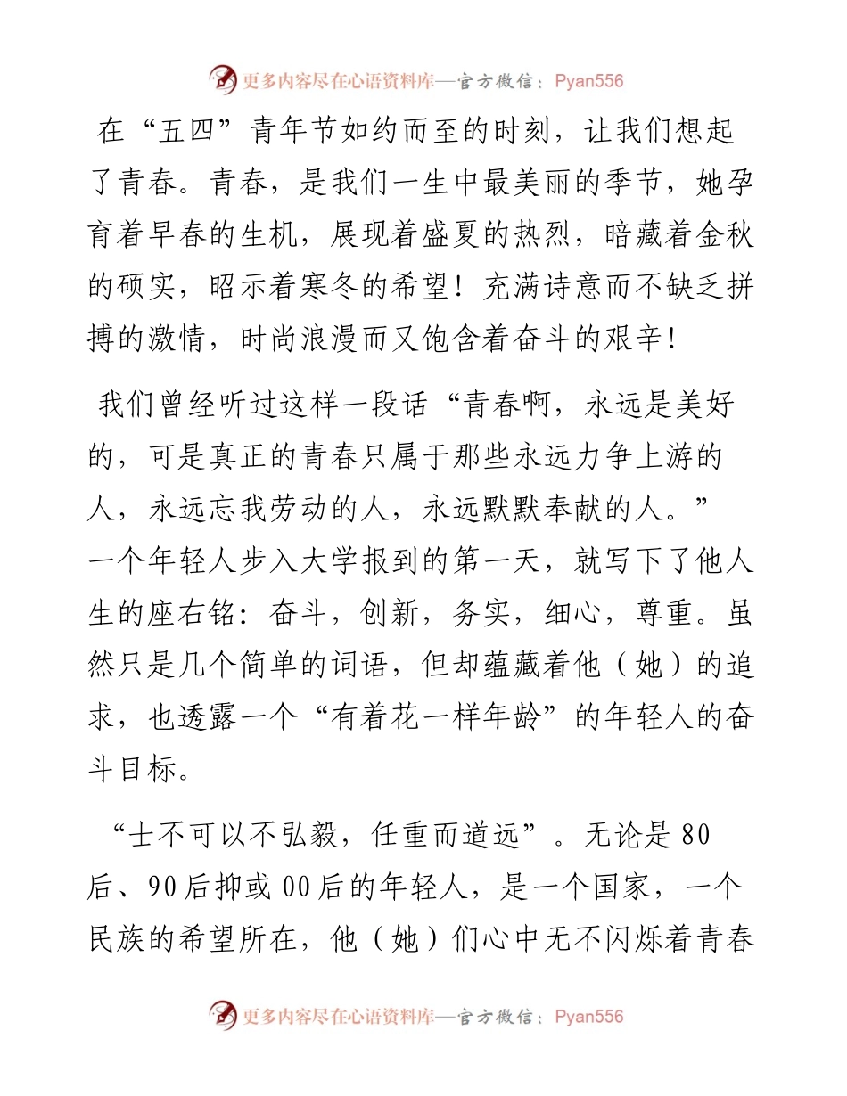 演讲稿：青春如歌 奋斗不止.docx_第1页