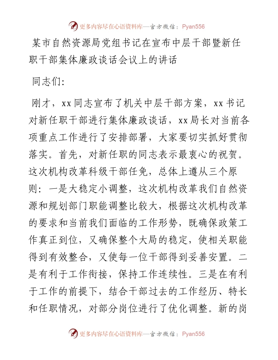 某市自然资源局党组书记在宣布中层干部暨新任职干部集体廉政谈话会议上的讲话.docx_第1页