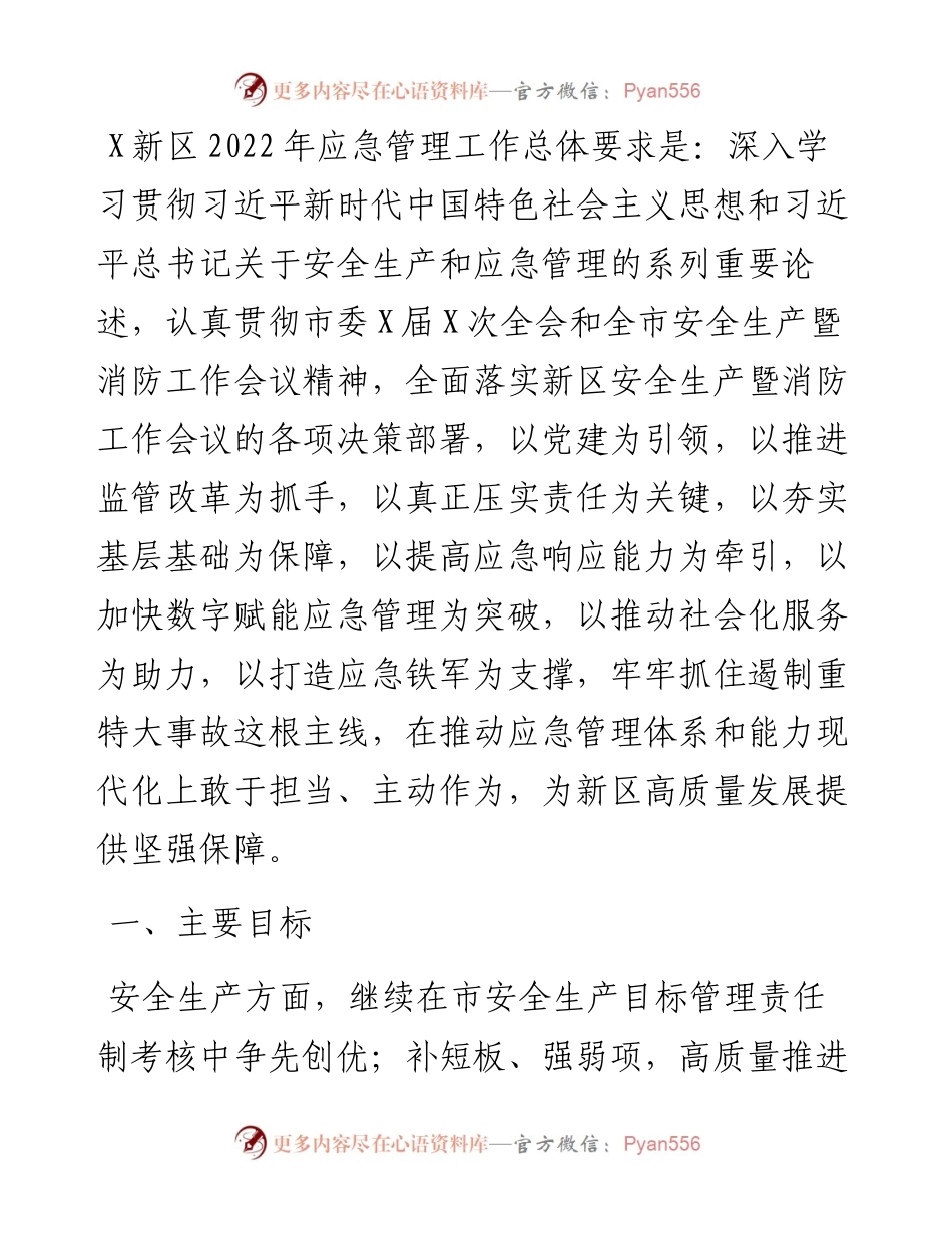 新区应急管理工作要点.docx_第1页