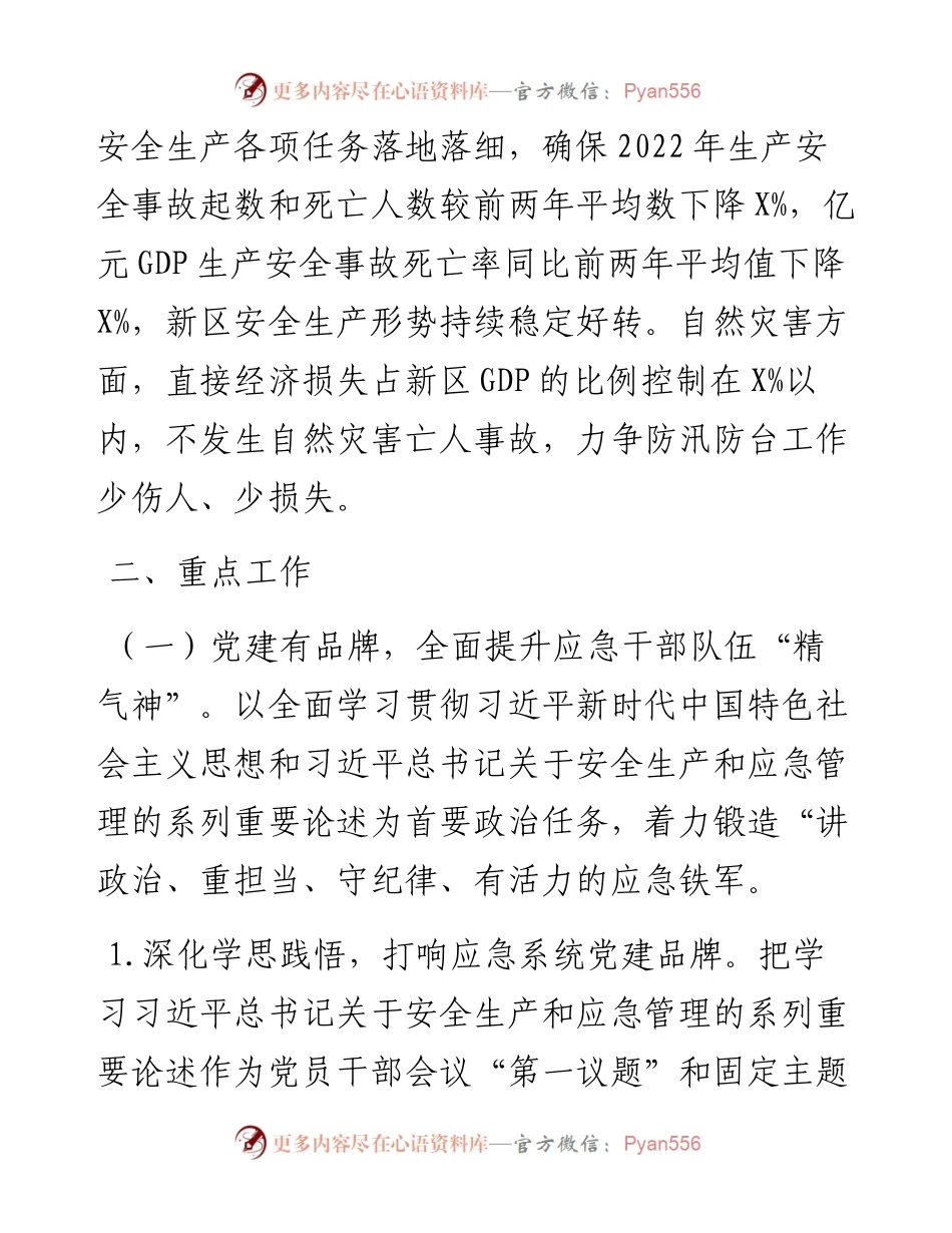 新区应急管理工作要点.docx_第2页