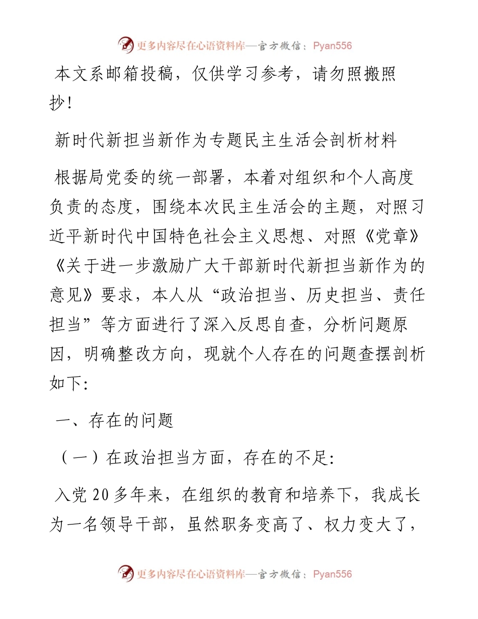 新时代新担当新作为专题民主生活会剖析材料（范文）.docx_第1页