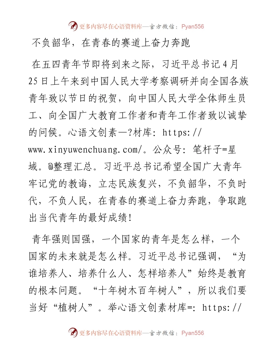 研讨发言：不负韶华，在青春的赛道上奋力奔跑.docx_第1页