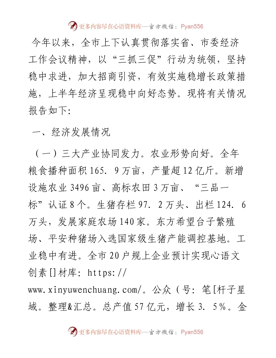 某市2024年上半年经济发展情况报告.docx_第1页