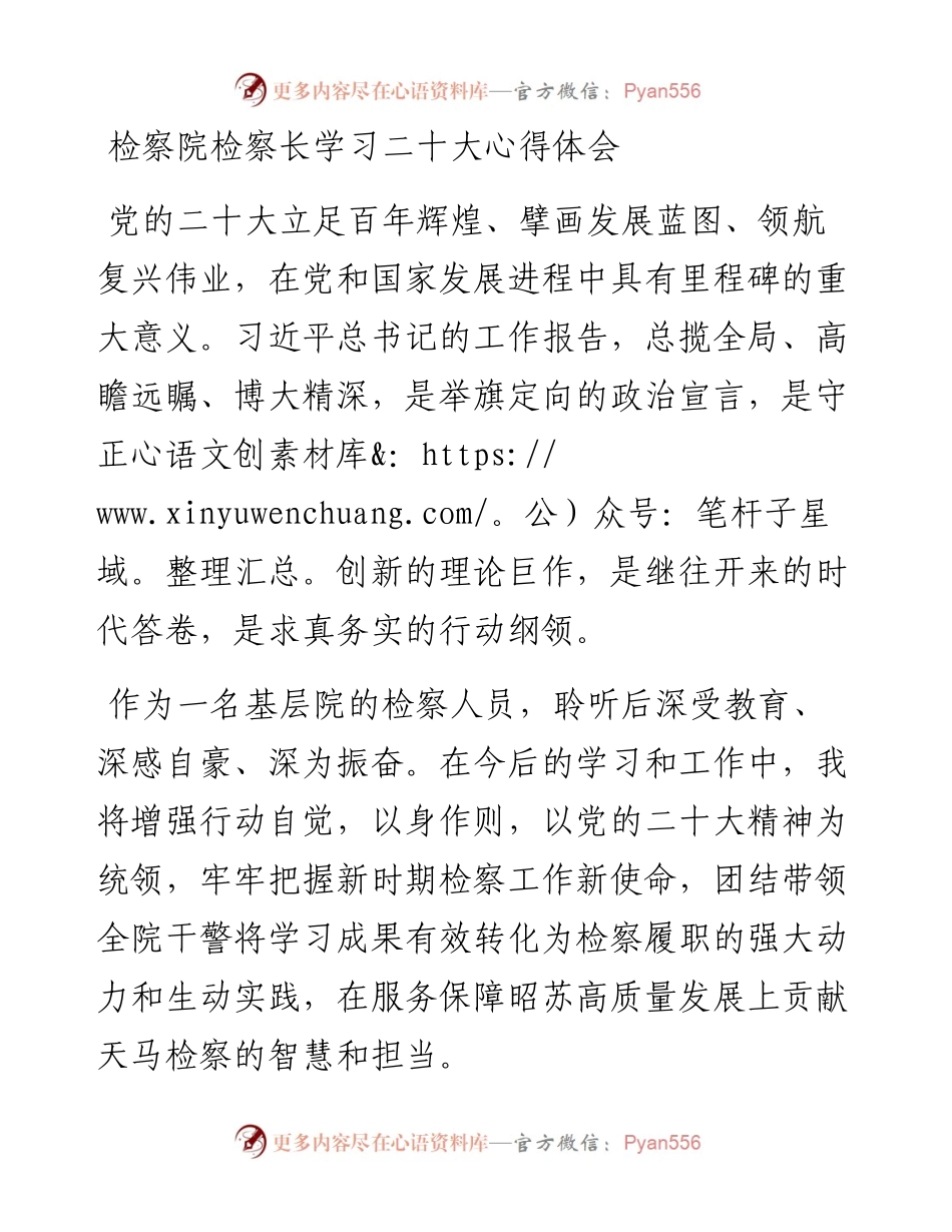 检察院检察长学习二十大心得体会.docx_第1页