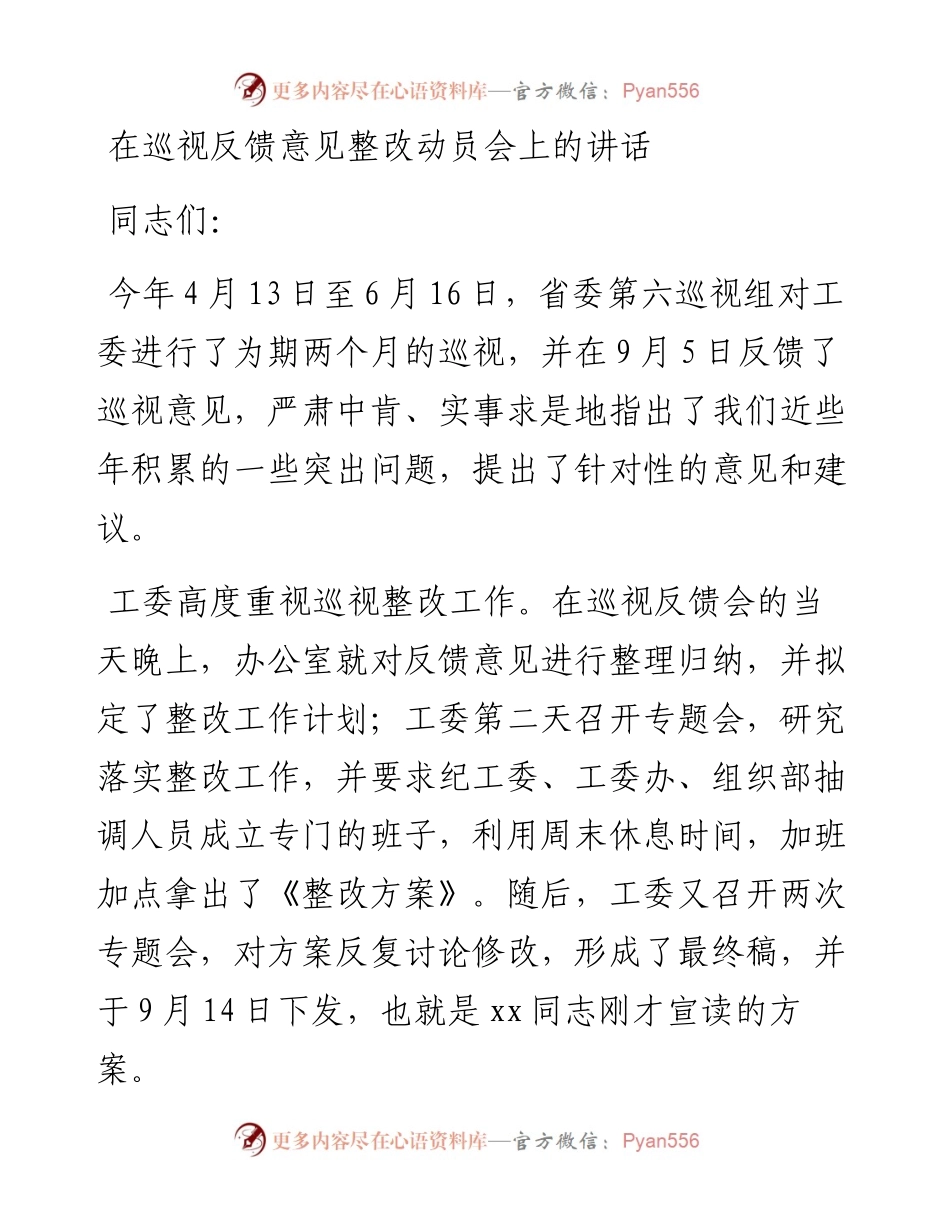 每日范文—在巡视反馈意见整改动员会上的讲话.docx_第1页