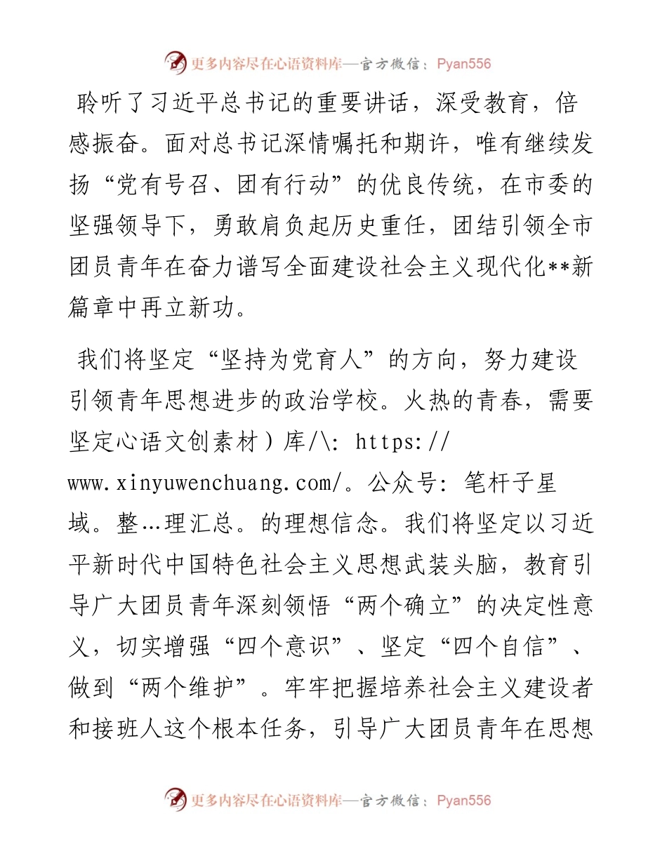 牢记初心使命贡献青春力量（团市委书记）.docx_第1页