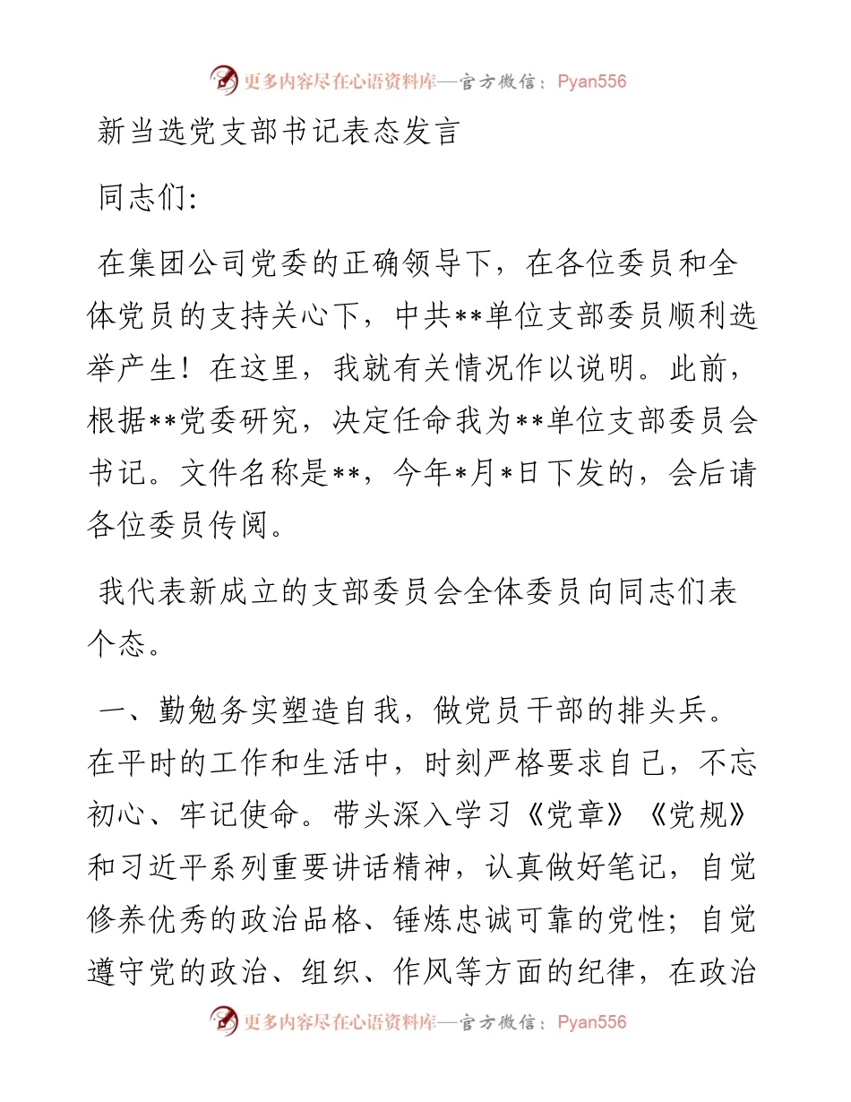 新当选党支部书记表态发言.docx_第1页