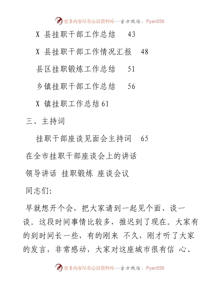 文汇系列3151--挂职干部会议讲话、工作总结和心得体会汇编（12篇）.docx_第2页