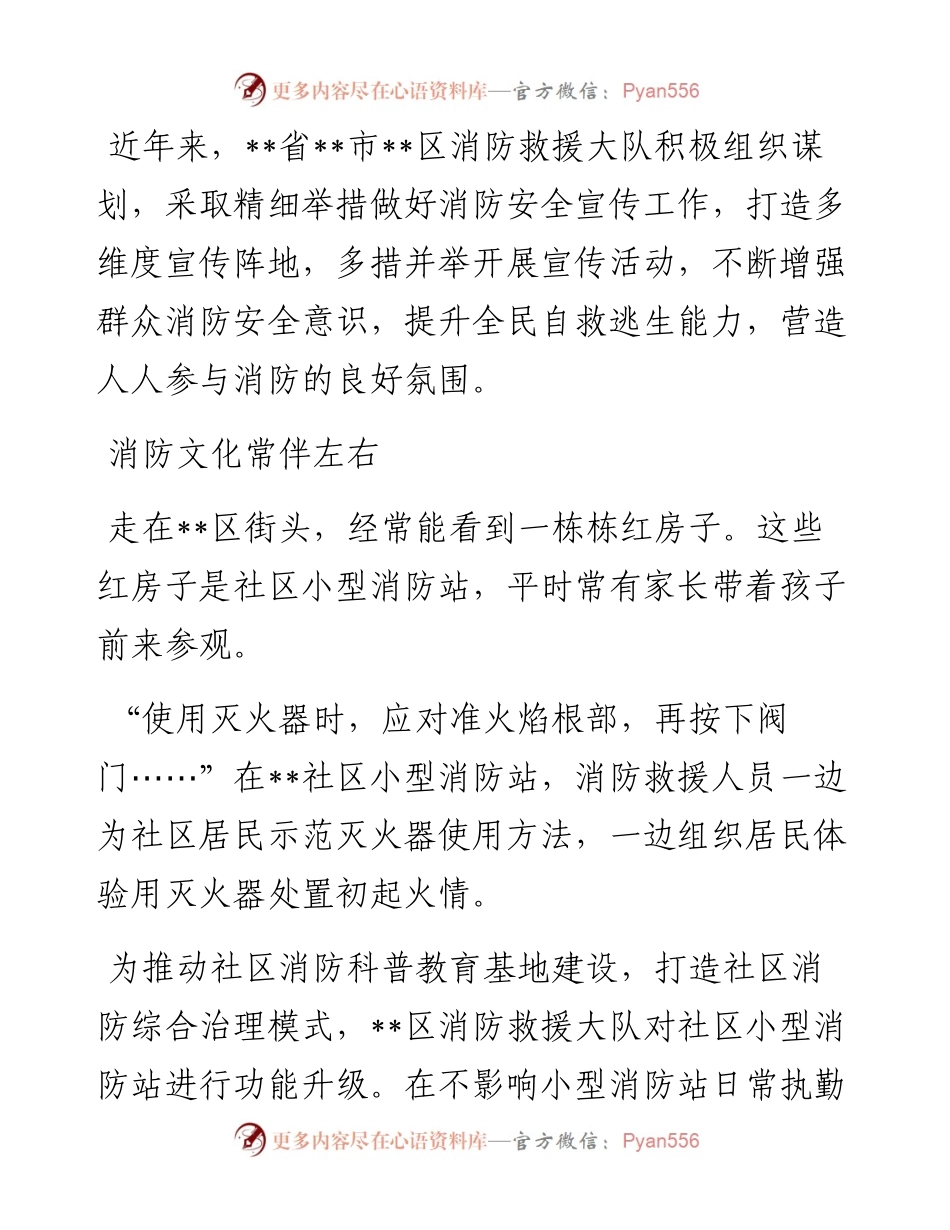 消防救援支队工作综述.docx_第1页