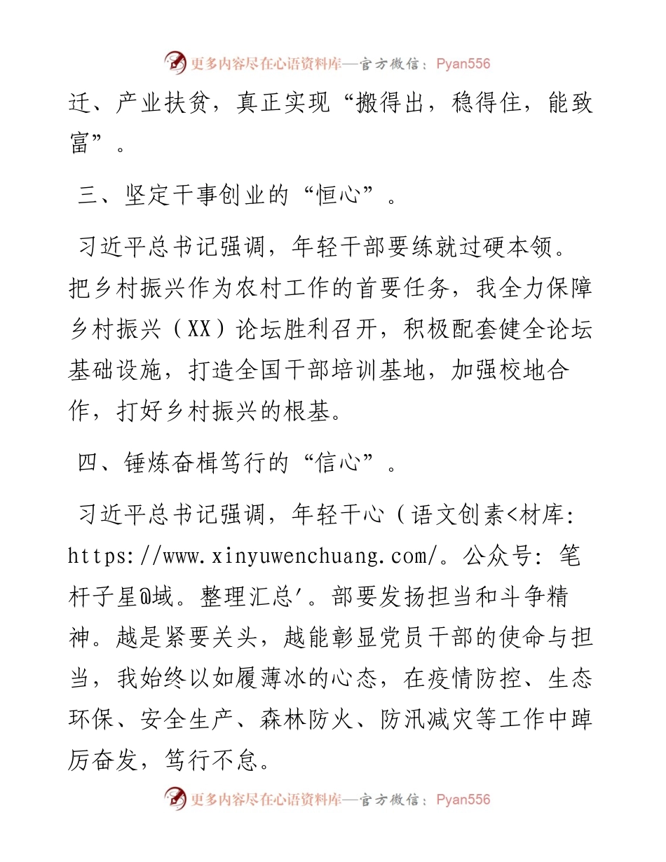 用忠诚扛起使命 用行动诠释担当（乡党委书记）.docx_第2页