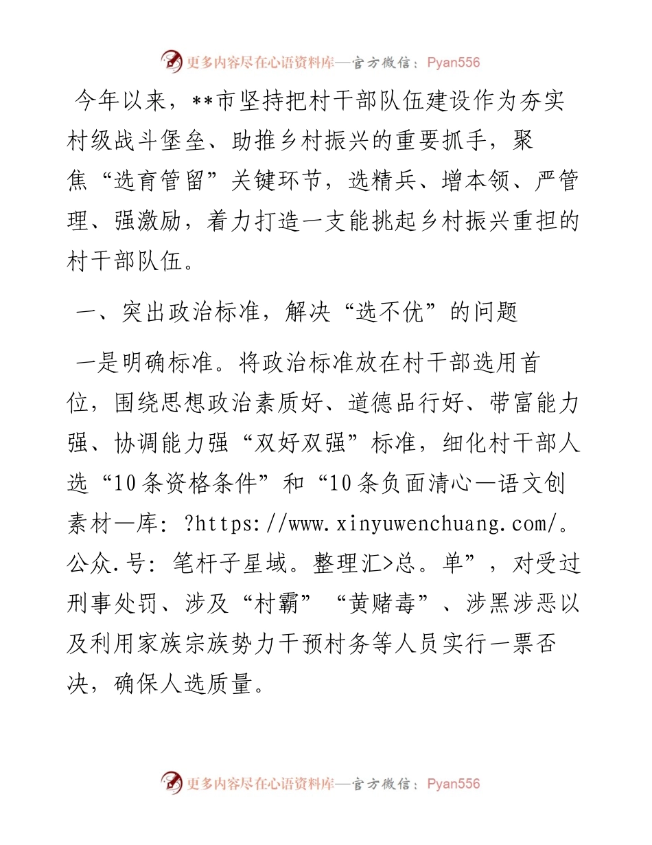 村干部队伍建设交流发言材料.docx_第1页