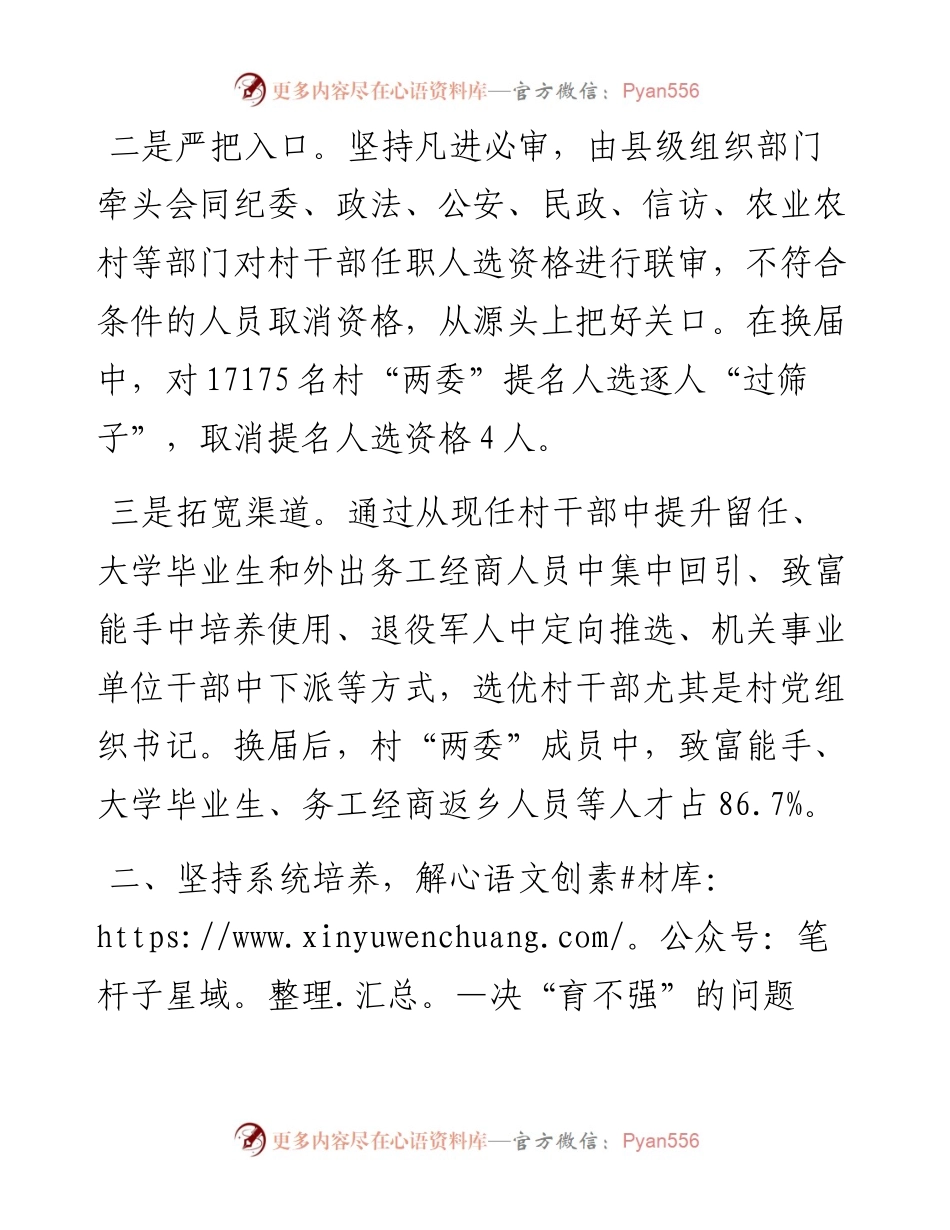 村干部队伍建设交流发言材料.docx_第2页