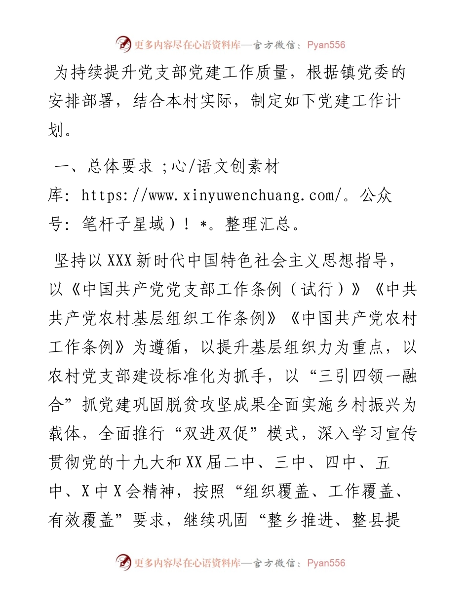 村党支部党建工作计划.docx_第1页