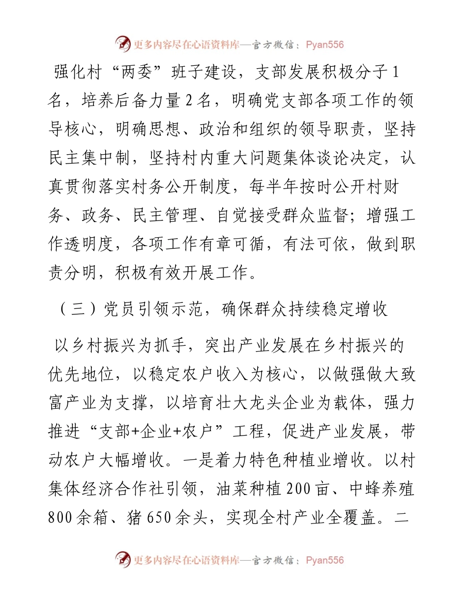 村党支部书记述职材料.docx_第2页