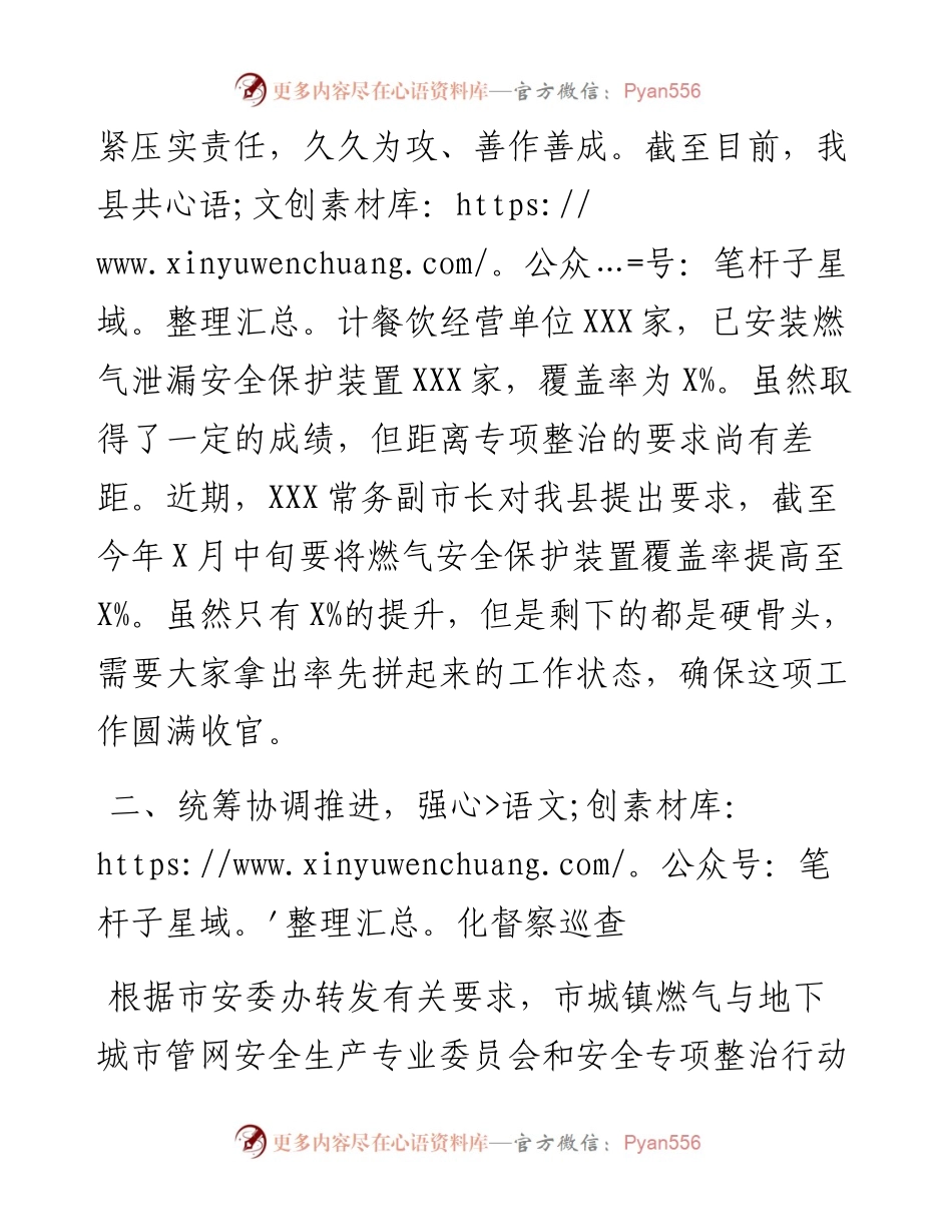 燃气安全专项整治讲话.docx_第2页