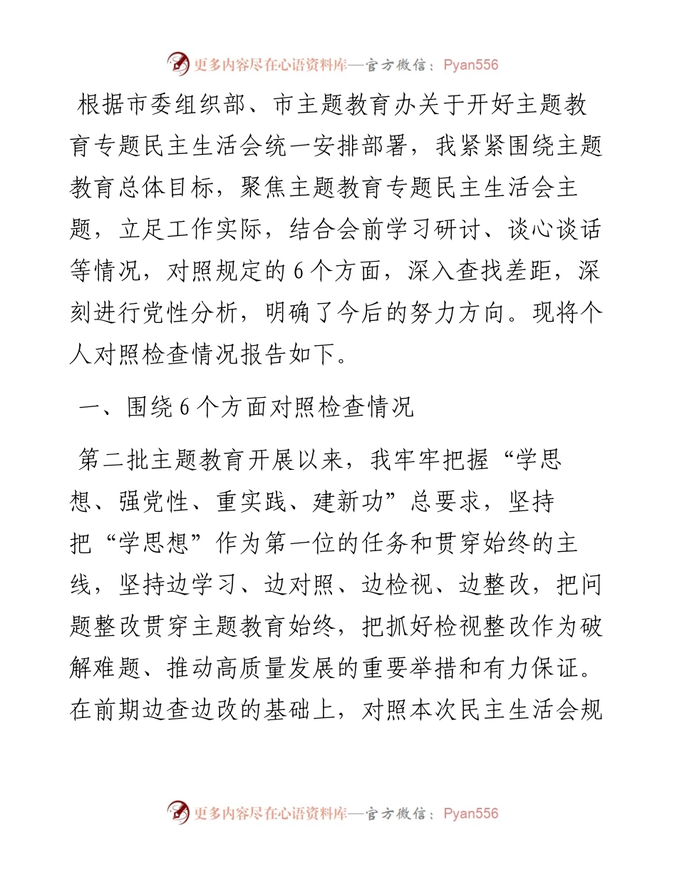 第二批主题教育专题民主生活会对照检查材料（副职领导）.docx_第1页