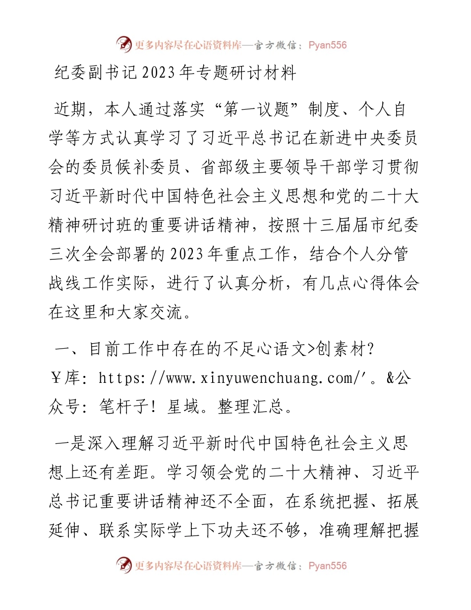 纪委副书记2023年专题研讨材料.docx_第1页