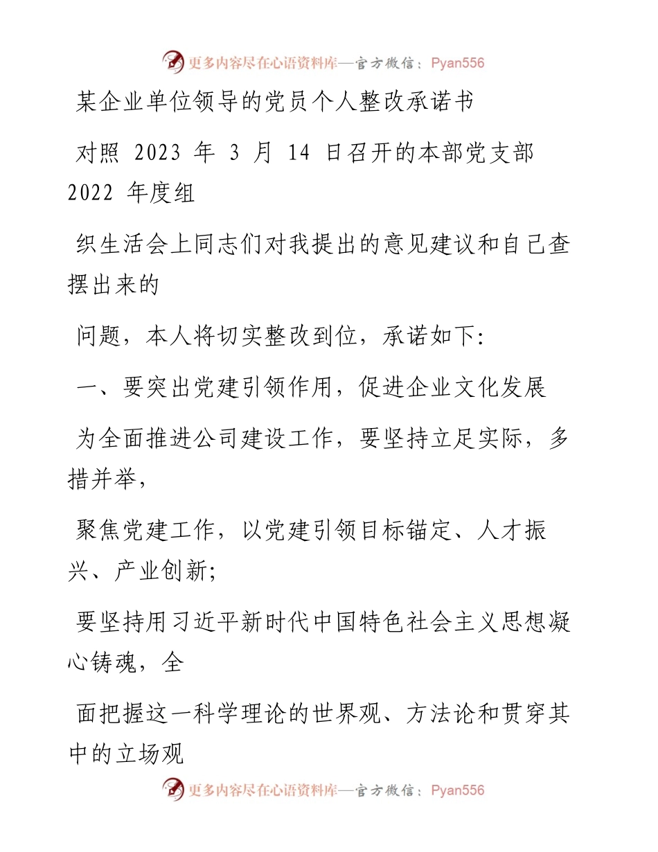 某企业单位领导的党员个人整改承诺书.docx_第1页