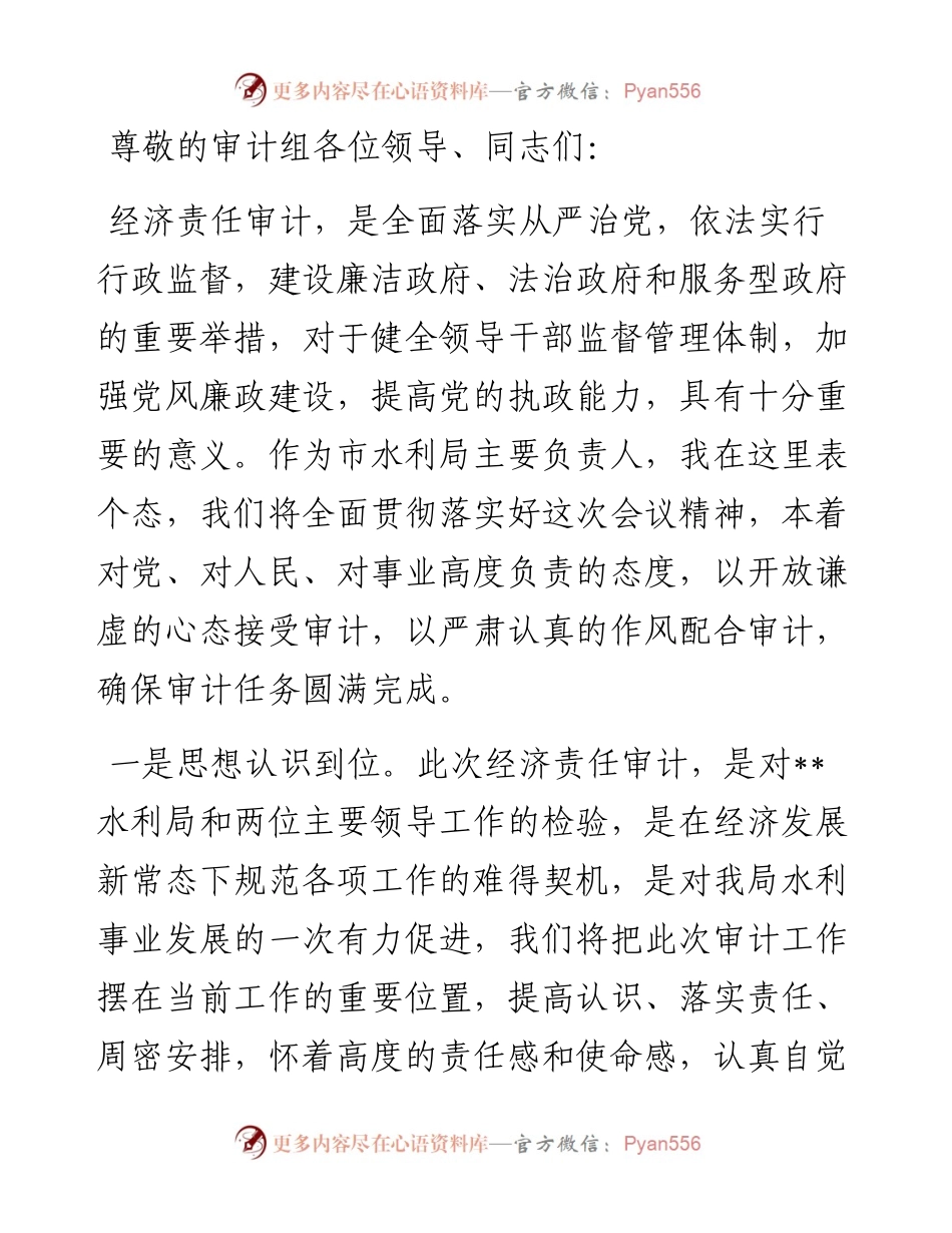 某市水利局经济责任审计表态发言.docx_第1页