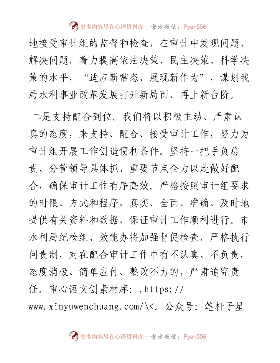 某市水利局经济责任审计表态发言.docx_第2页