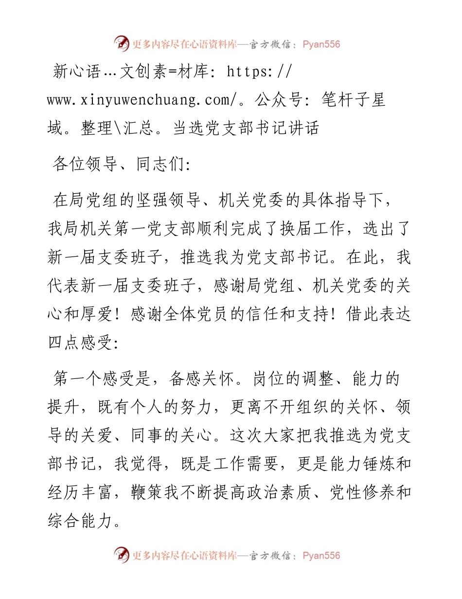 新当选党支部书记讲话.docx_第1页
