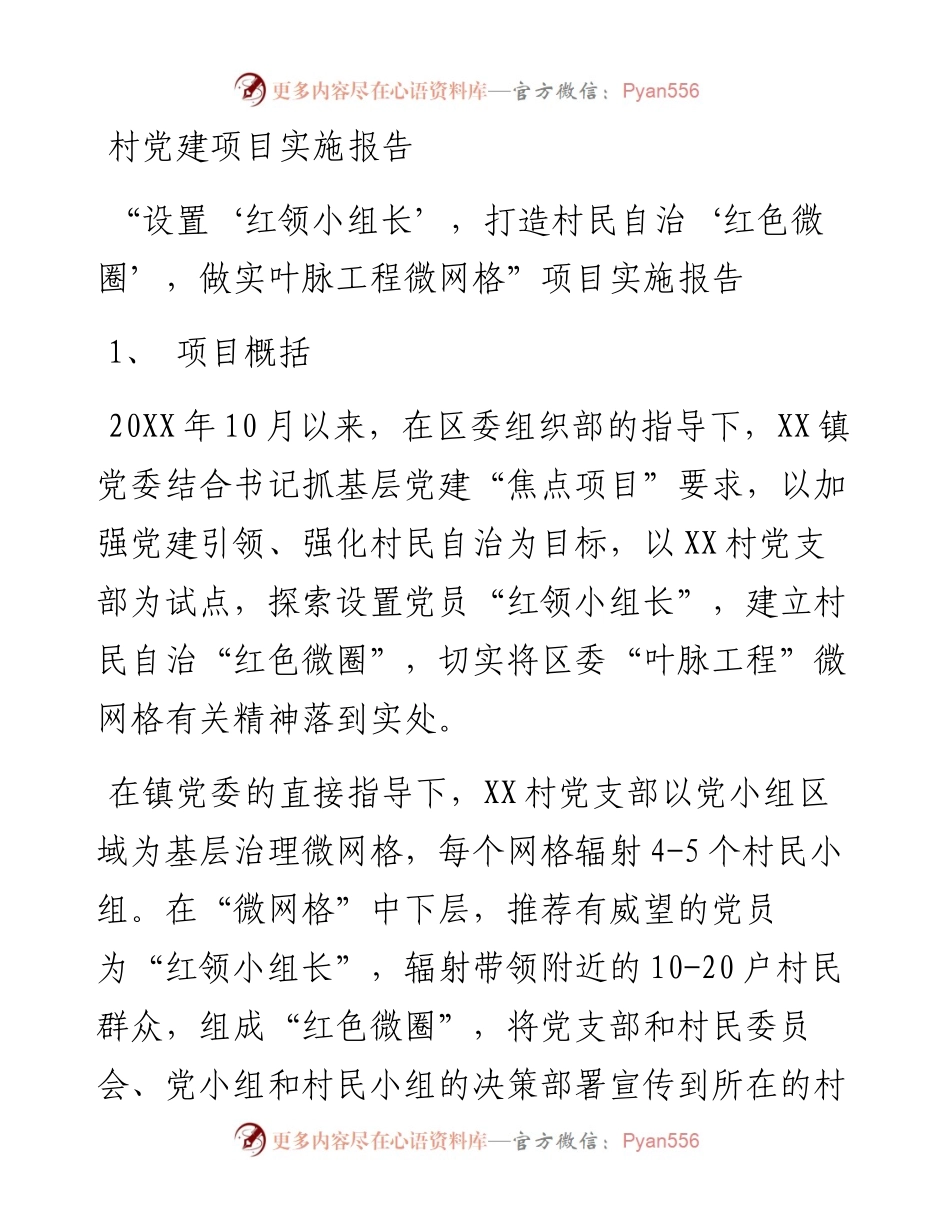 村党建项目实施报告.docx_第1页