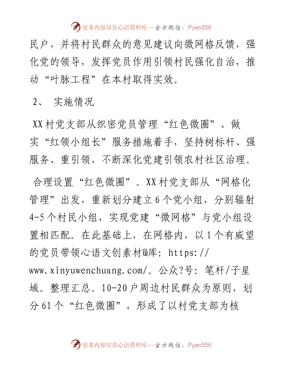 村党建项目实施报告.docx_第2页