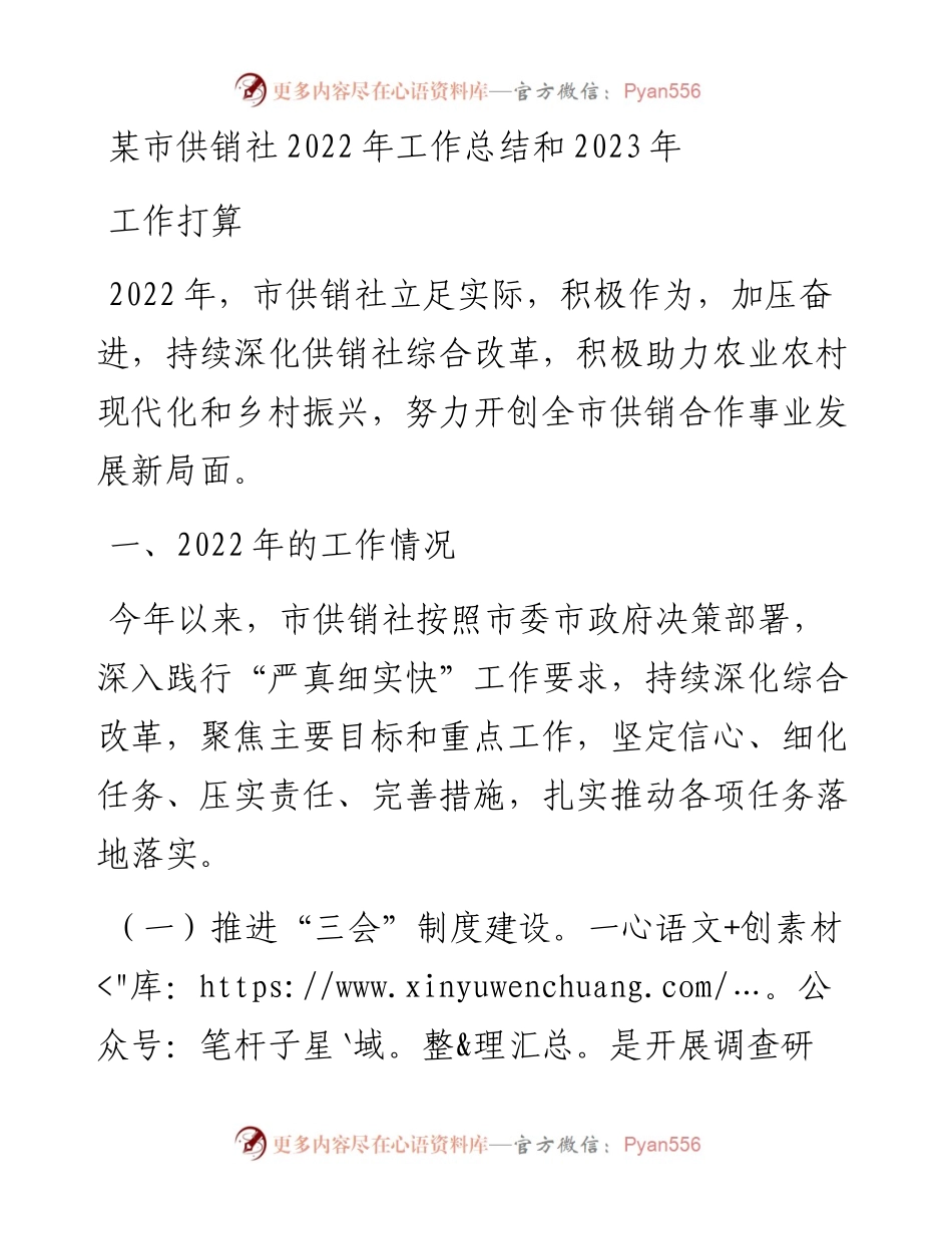 某市供销社工作总结和2023年工作打算.docx_第1页