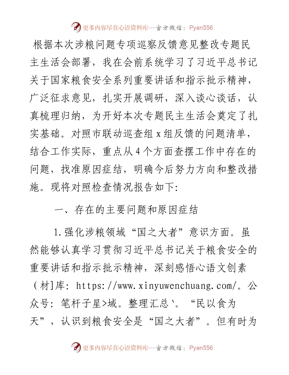 某市财政局涉粮巡察整改专题民主生活会班子成员对照检查材料.docx_第1页