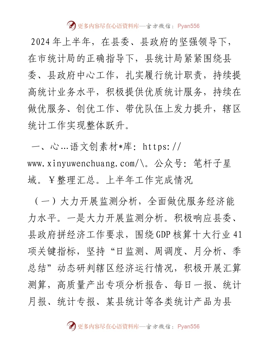 某县统计局2024年上半年工作总结及下半年工作计划.docx_第1页