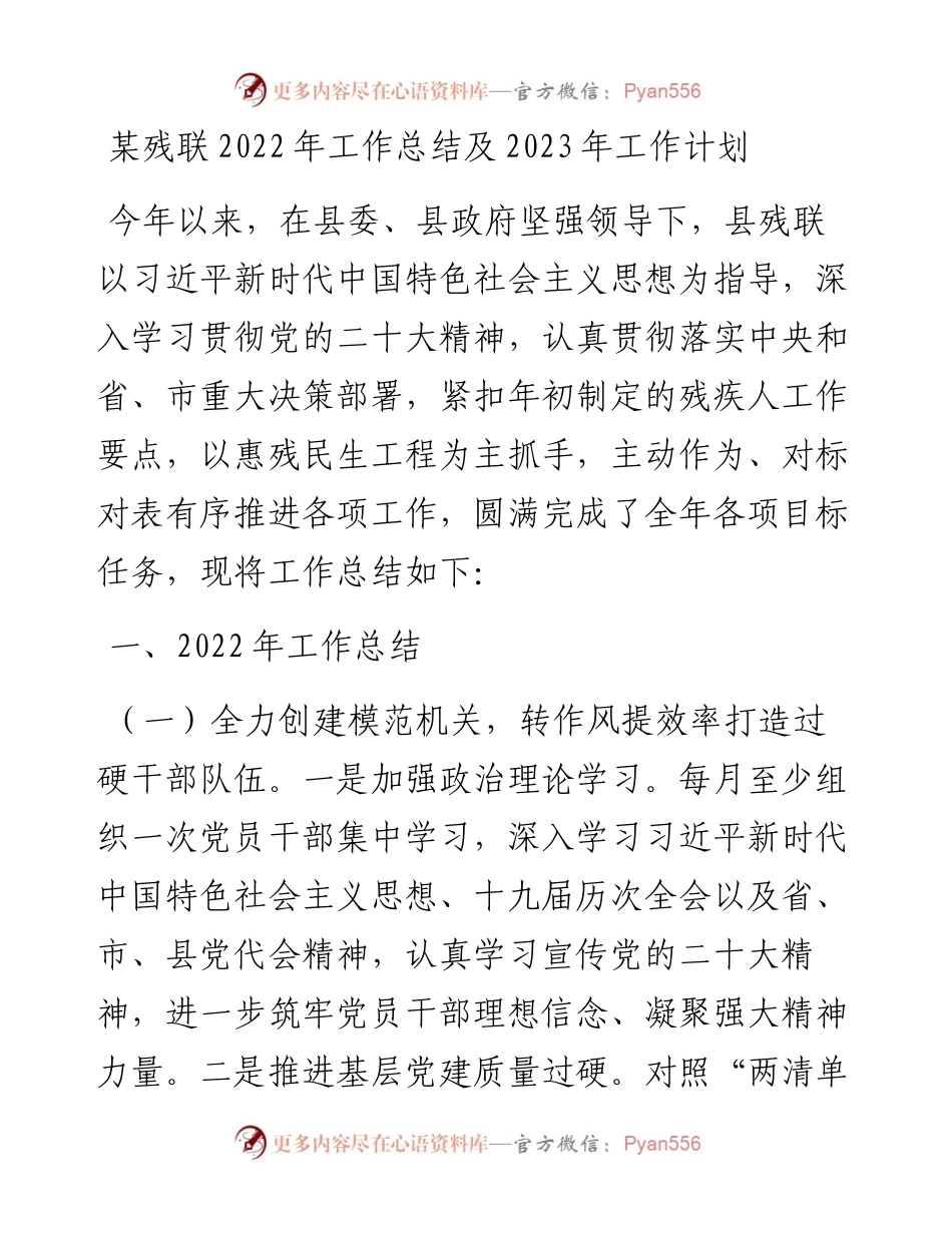 某残联工作总结及2023年工作计划.docx_第1页