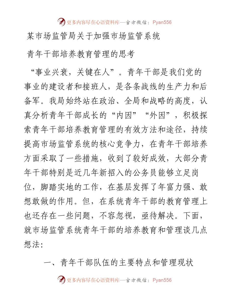 某市场监管局关于加强市场监管系统青年干部培养教育管理的思考.docx_第1页
