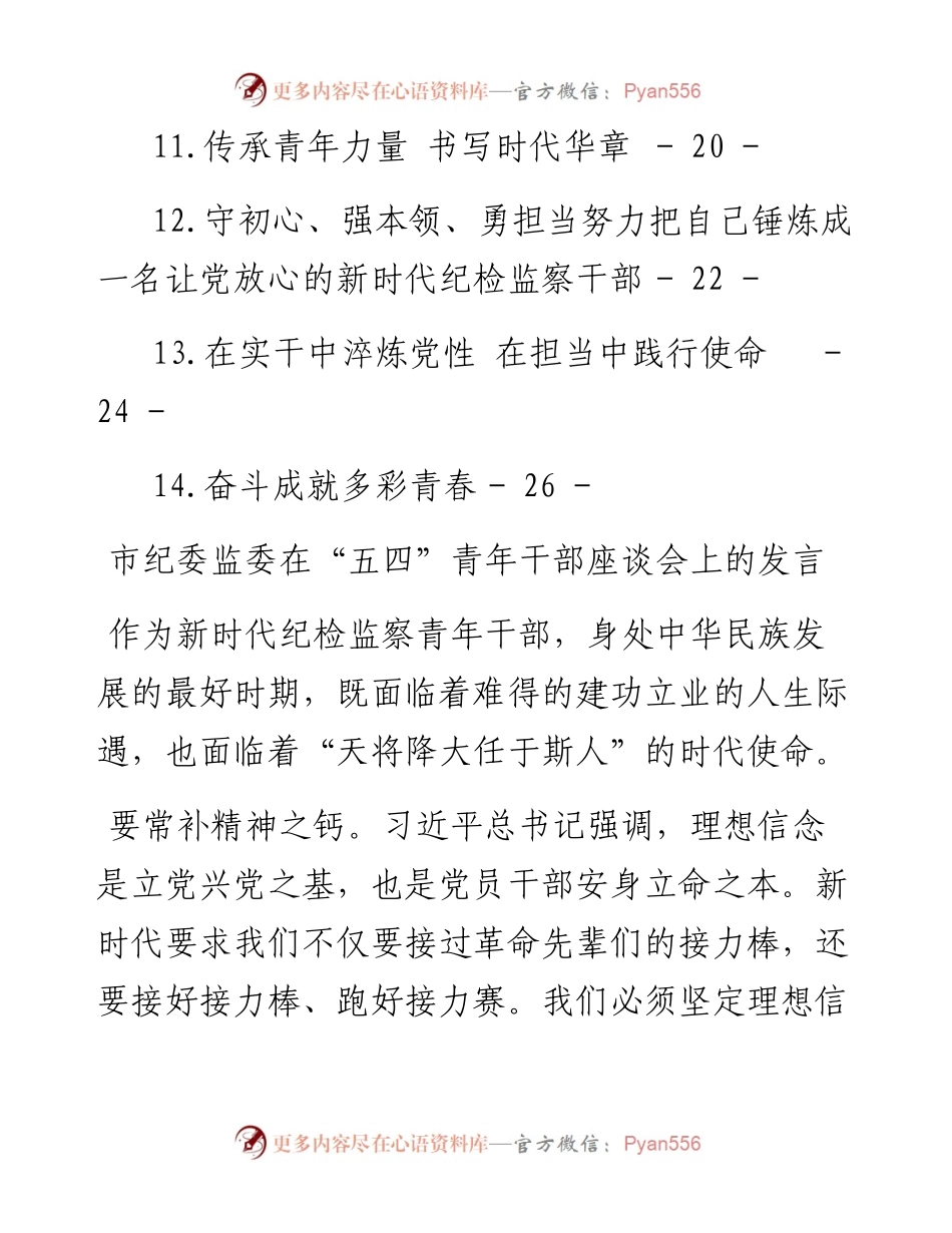 文汇系列4071--市纪委监委在“青年干部座谈会上的发言汇编（14篇）.docx_第2页