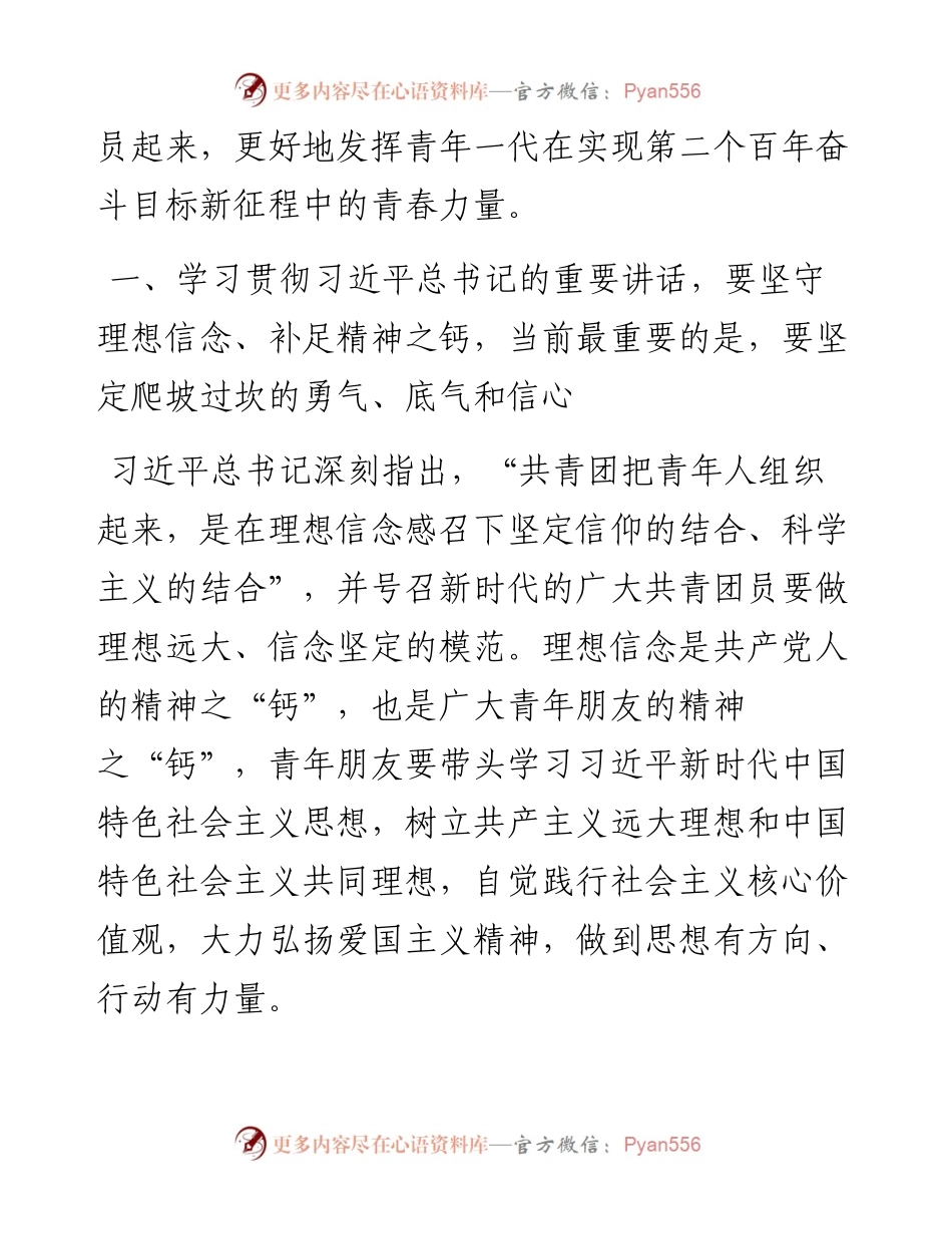研讨发言：牢记领袖嘱托 团结带领广大青年为实现第二个百年奋斗目标不懈奋斗.docx_第2页