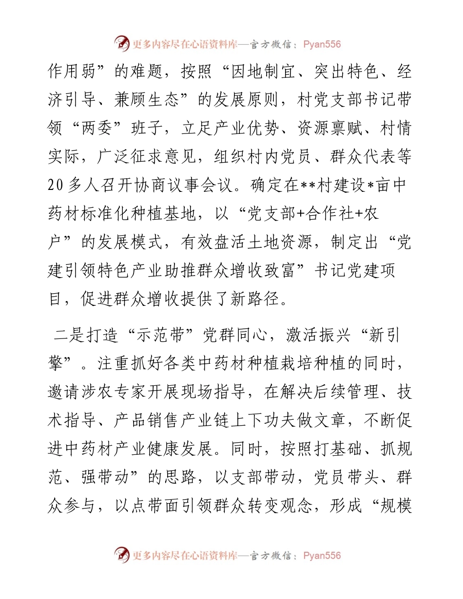 村开展“书记党建项目”情况汇报.docx_第2页