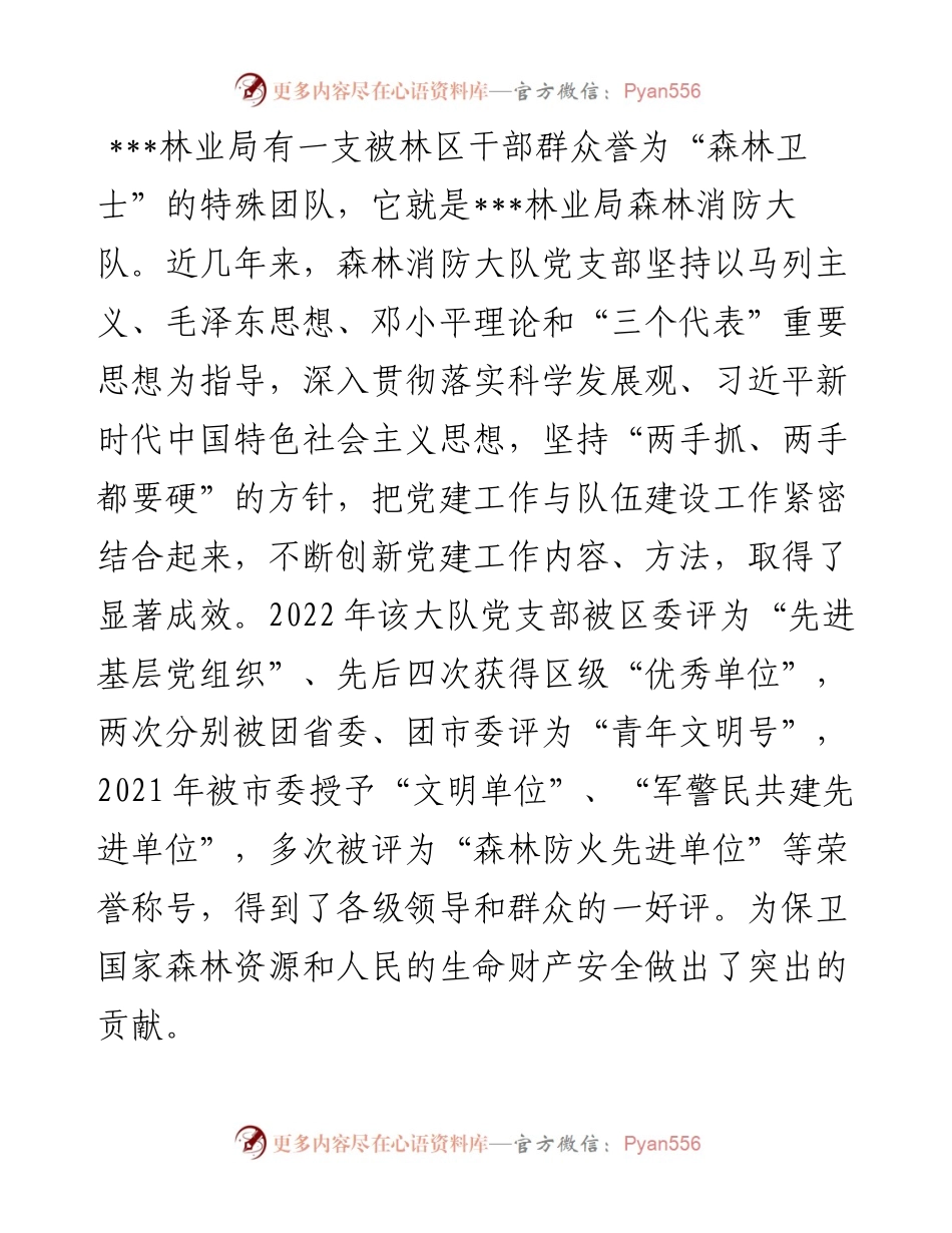 森林消防大队党支部先进事迹.docx_第1页