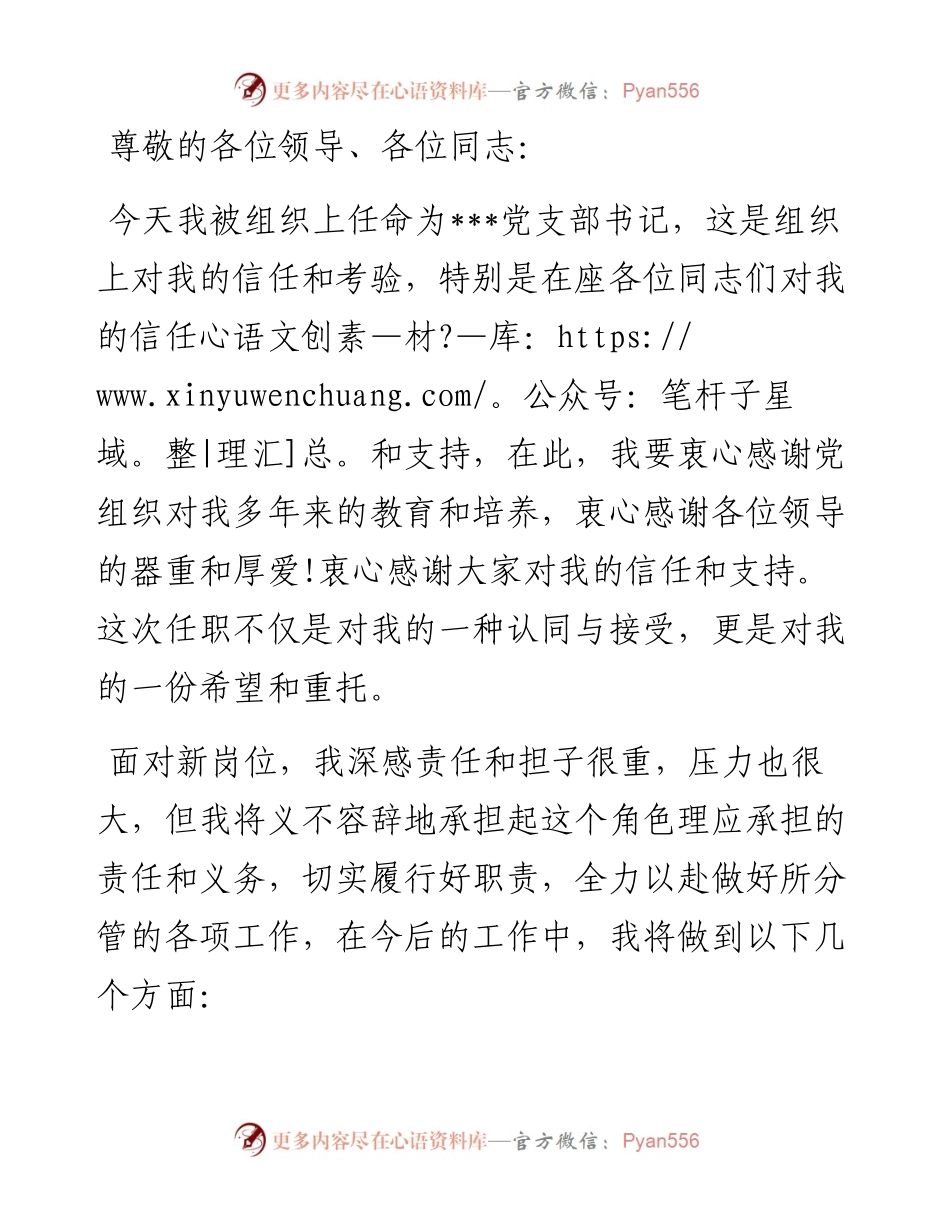 新当选党支部书记任职表态发言.docx_第1页