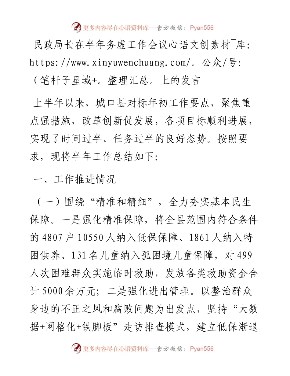 民政局长在半年务虚工作会议上的发言.docx_第1页