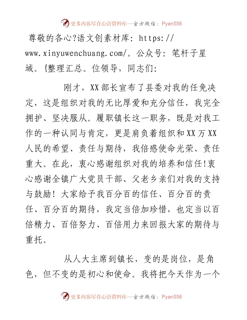 新任镇长在全镇领导干部大会上的表态发言.docx_第1页
