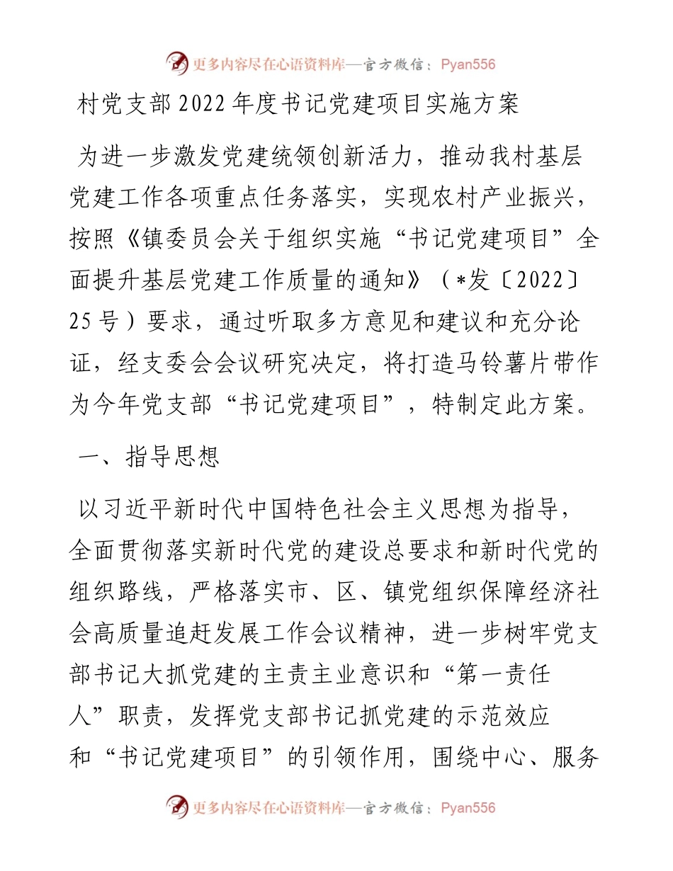 村党支部度书记党建项目实施方案.docx_第1页